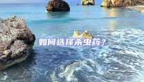 如何選擇殺蟲(chóng)藥?
