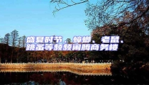 盛夏時節(jié),蟑螂、老鼠、跳蚤等頻頻鬧騰商務(wù)樓