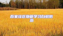 百家社區(qū)物管學(xué)習(xí)白蟻防治