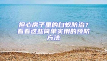 擔(dān)心房子里的白蟻防治?看看這些簡(jiǎn)單實(shí)用的預(yù)防方法