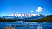 家棲鼠類的生態(tài)行為