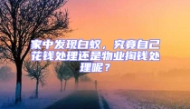 家中發(fā)現(xiàn)白蟻，究竟自己花錢處理還是物業(yè)掏錢處理呢？