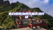 市白蟻防治所開展滅治行動