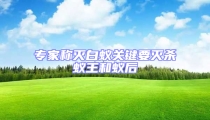 專家稱滅白蟻關鍵要滅殺蟻王和蟻后