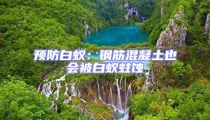 預(yù)防白蟻:鋼筋混凝土也會被白蟻蛀蝕