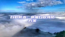 白蟻防治:房屋白蟻預(yù)防方案