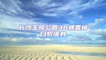 長沙王陵公園30棵香樟白蟻纏身