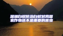 深圳白蟻防治白蟻對我國農作物還不是重要的害蟲
