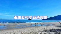 殺蟲公司專業殺蟑螂