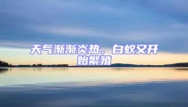 天氣漸漸炎熱,白蟻又開始繁殖