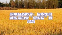 深圳白蟻防治:白蟻出沒(méi)林區(qū)是白蟻“重災(zāi)區(qū)”要留意