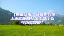 【深圳除蟲】蟑螂爬到床上還能睡嗎?床上放什么可以驅蟑螂?