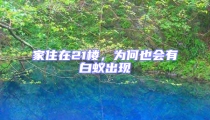 家住在21樓,為何也會有白蟻出現