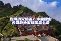 如何消滅跳蚤？專業除蟲公司教大家跳蚤怎么殺