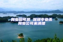 臭蟲挺可惡 深圳專業殺臭蟲公司來清理