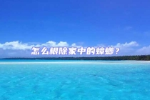 怎么根除家中的蟑螂？