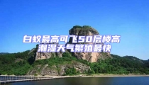 白蟻最高可飛50層樓高 潮濕天氣繁殖最快