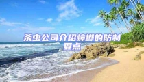 殺蟲公司介紹蟑螂的防制要點