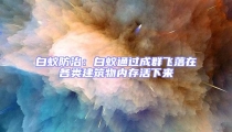 白蟻防治:白蟻通過成群飛落在各類建筑物內(nèi)存活下來