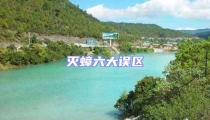 滅蟑六大誤區