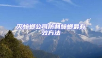 滅蟑螂公司防制蟑螂最有效方法