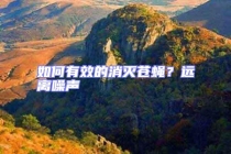 如何有效的消滅蒼蠅？遠(yuǎn)離噪聲