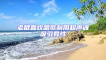 老鼠喜歡唱歌利用超聲波吸引異性