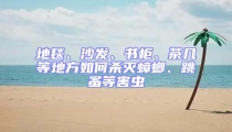 地毯、沙發(fā)、書柜、茶幾等地方如何殺滅蟑螂、跳蚤等害蟲