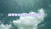簡(jiǎn)單有效的白蟻滅治方法