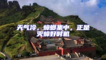 天氣冷,蟑螂集中,正是滅蟑好時機