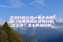 滅治白蟻公司：家中木質品、木質裝修區域有白蟻怎么辦？怎么防治白蟻