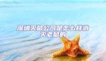 深圳滅鼠公司是怎么樣消滅老鼠的