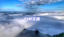 白蟻王國(guó)