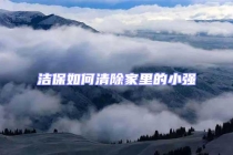 潔保如何清除家里的小強(qiáng)