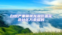 白蟻嚴重困擾龍湖區(qū)蓮花北社區(qū)萬余居民