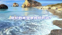 常見(jiàn)的害蟲(chóng)要如何防治?