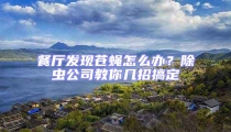 餐廳發現蒼蠅怎么辦?除蟲公司教你幾招搞定