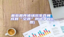 葡萄園養豬場滋生蒼蠅 成群“空襲”附近學校((圖)