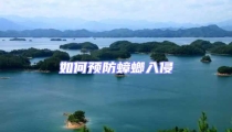 如何預(yù)防蟑螂入侵