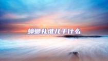 蟑螂扎堆兒干什么