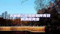 滅蟑螂公司教你如何有效的清除臭蟲