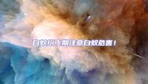 白蟻紛飛期注意白蟻危害!