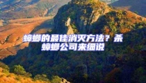 蟑螂的最佳消滅方法?殺蟑螂公司來細說