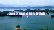 怎樣區(qū)別褐家鼠與黃胸鼠?