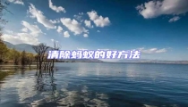 清除螞蟻的好方法
