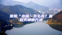 發現“小強”怎么辦?最佳滅蟑螂方法