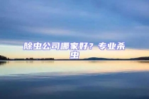 除蟲公司哪家好？專業殺蟲