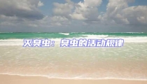 滅臭蟲:臭蟲的活動規律