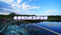 家里有白蟻怎樣處理