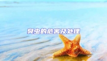 臭蟲的危害及處理